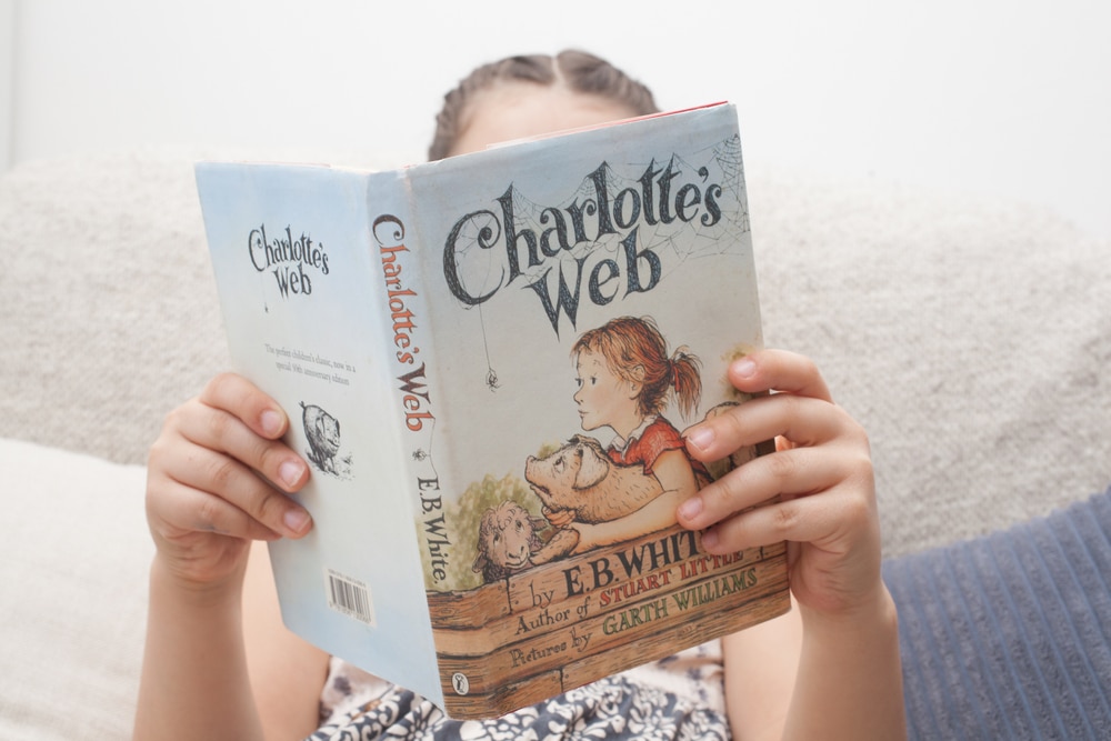 A-girl-reading-the-childrens-book-Charlottes-Web