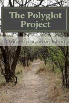 "The Polyglot Project" book cover