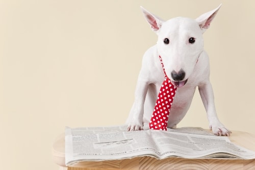 Russian language intelligence overview