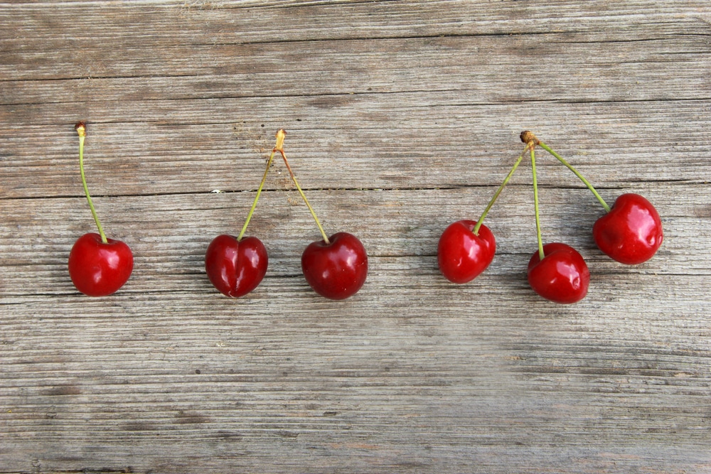 「Interesting」に関連した英語例文の一覧と使い方 - Weblio英語例文検索 visual data 5