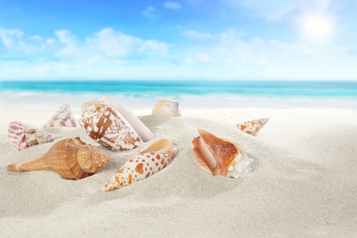 50 English Beach Vocabulary Words for Summer | FluentU