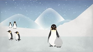 Penguins: Popularity, Peril and Poop 