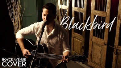 The Beautiful Song "Blackbird"