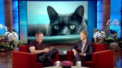 Ellen and Tim Talk Big Cats