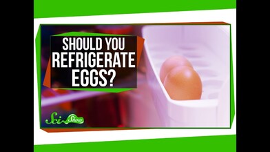 Should You Keep Eggs in the Fridge?