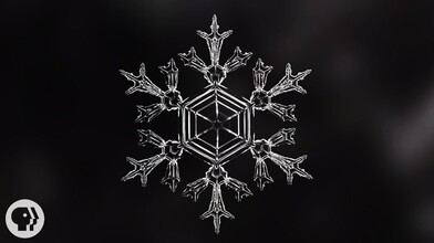 Are There Identical Snowflakes?