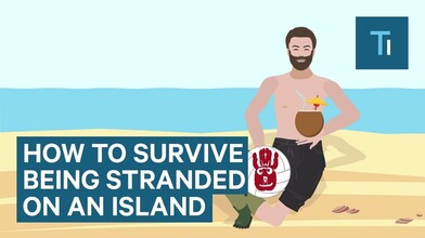 Surviving on an Island