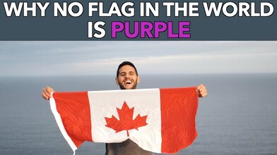Why Are There No Purple Flags?
