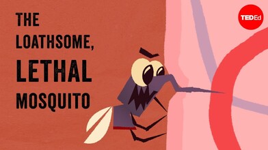 The Loathsome, Lethal Mosquito