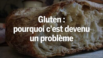 Why Is Gluten Such a Big Issue?