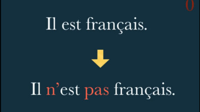 Learn Negation in French