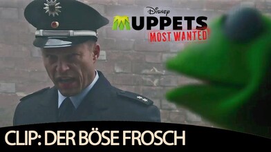 Kermit Gets Arrested - Muppets Most Wanted
