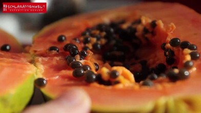 The Exotic Delights of the Papaya Fruit