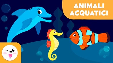 Vocabulary: Aquatic Animals