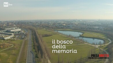 A Wood to Remember COVID-19 Victims in Bergamo