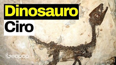 Ciro, the Baby Dinosaur Fossil
