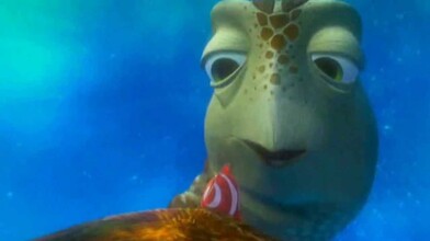 Surfer Sea Turtle Scene - Finding Nemo