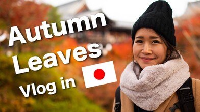 Enjoying Fall Colors in Kyoto