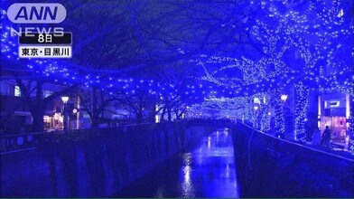 Christmas Lights in Meguro