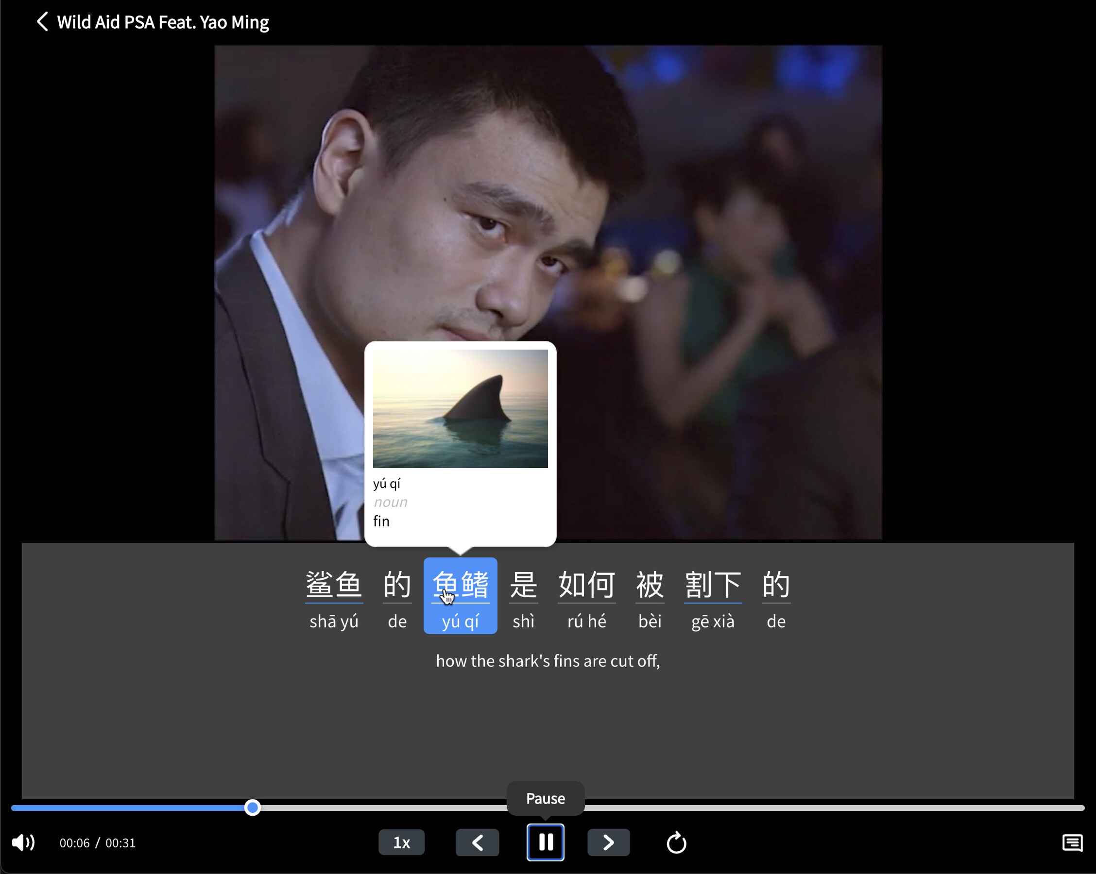 Our custom video player enables language learning online for beginners