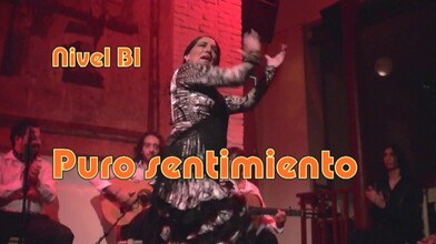 Flamenco - Pure Feeling