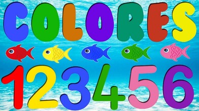 How Many Colorful Fish Are There?