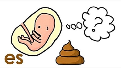 Does a Fetus Poop? 