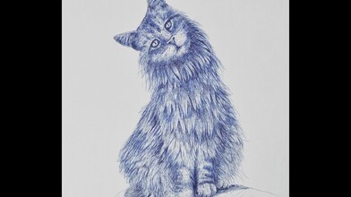 How to Draw a Cat with a Fountain Pen