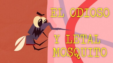 The One and Only Hated and Lethal ... Mosquito 