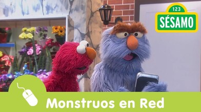 Monsters on the Net, Part 1 of 3 - Sesame Street