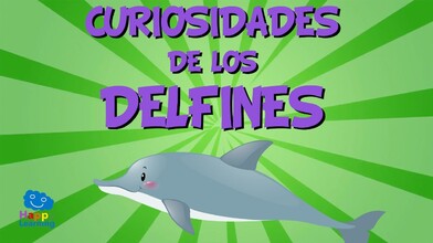 Did You Know? All About Dolphins