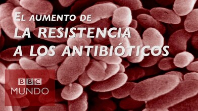 Antibiotic Resistance, a Global Crisis