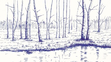 How to Draw a Forest with a Lake