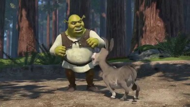 Shrek and Donkey Meet - Shrek