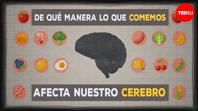 How Our Diet Affects the Brain - TED-Ed