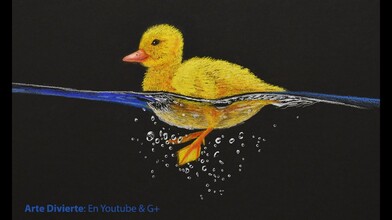 How to Draw a Swimming Duck