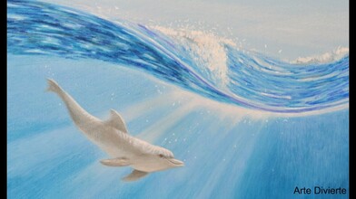 How to Draw a Dolphin Under the Water